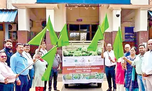 Odisha: जिले से 910 किलोग्राम मुनगा और पोटल्स सब्जियां दुबई निर्यात की गई Odisha: जिले से 910 किलोग्राम मुनगा और पोटल्स सब्जियां दुबई निर्यात की गई
