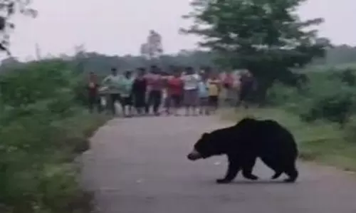 Odisha: भालू के हमले में दो की हालत गंभीर