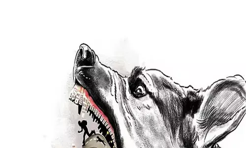 Andhra: आंध्र प्रदेश में आवारा कुत्तों के हमले में चार साल के बच्चे की मौत Andhra: आंध्र प्रदेश में आवारा कुत्तों के हमले में चार साल के बच्चे की मौत