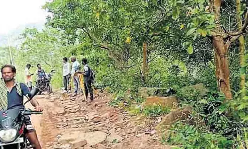 Andhra: आदिवासी क्षेत्रों में बेहतर सड़क कनेक्टिविटी के लिए आदिवी थल्ली बाता पहल