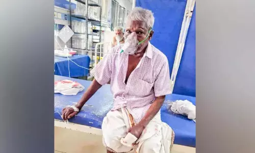 Kerala: आवारा कुत्तों के काटने से सात लोग घायल