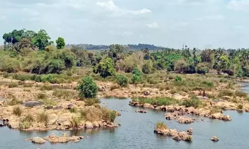 Kerala: कबानी नदी के पार नशीली दवाओं का प्रवाह