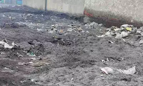 NGT ने कचरा प्रबंधन में खामियों को लेकर सरकार को फटकार लगाई