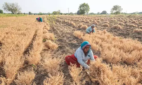 Telangana: किसान की शिकायत के बाद वन और राजस्व विभाग ने संयुक्त सर्वेक्षण कराया Telangana: किसान की शिकायत के बाद वन और राजस्व विभाग ने संयुक्त सर्वेक्षण कराया