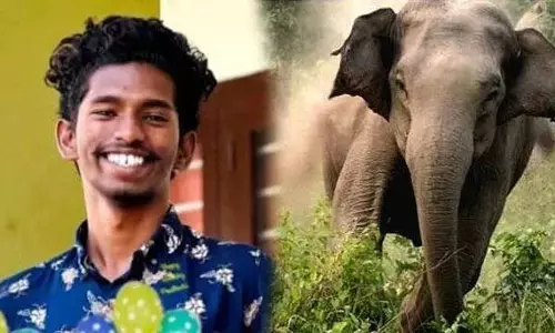 Mundur में हाथी के हमले में एलन की मौत के लिए वन विभाग जिम्मेदार Mundur में हाथी के हमले में एलन की मौत के लिए वन विभाग जिम्मेदार