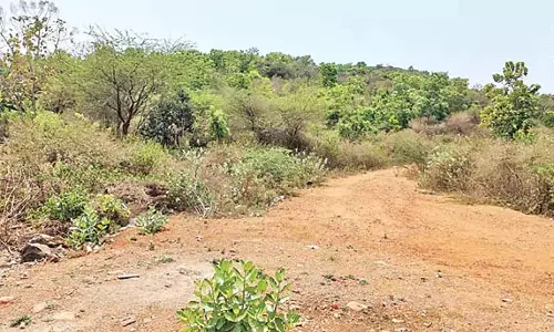 Andhra: राज्य सरकार विशाखापत्तनम की प्रतिष्ठा बढ़ाने के लिए योजना तैयार कर रही Andhra: राज्य सरकार विशाखापत्तनम की प्रतिष्ठा बढ़ाने के लिए योजना तैयार कर रही