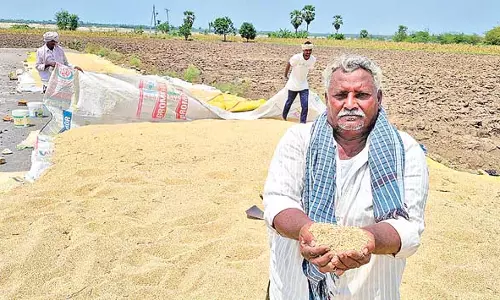 Andhra: बेमौसम बारिश किसानों के लिए मुश्किलें