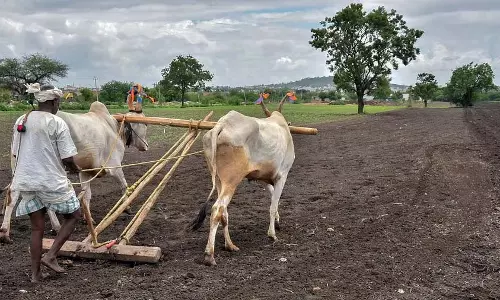 Karnataka के किसानों ने किसान-उत्पादक संगठनों के महासंघ में मुद्दों को उजागर किया Karnataka के किसानों ने किसान-उत्पादक संगठनों के महासंघ में मुद्दों को उजागर किया