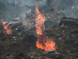 Araria: झमटा में आग की लपटों में स्वाहा हुए कई आशियाने Araria: झमटा में आग की लपटों में स्वाहा हुए कई आशियाने