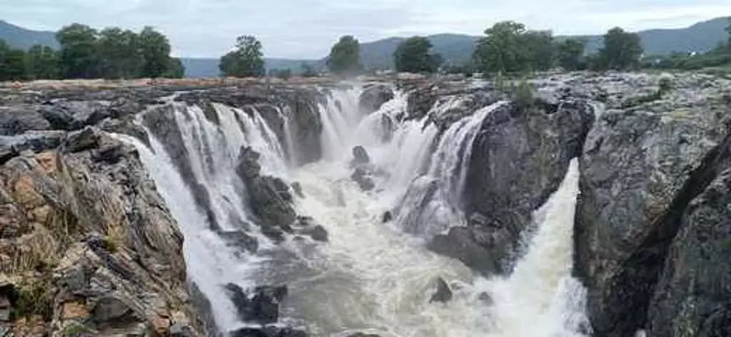 Tamil Nadu: ओकेनाक्कल में जल प्रवाह बढ़कर 5,000 क्यूबिक फीट हो गया Tamil Nadu: ओकेनाक्कल में जल प्रवाह बढ़कर 5,000 क्यूबिक फीट हो गया