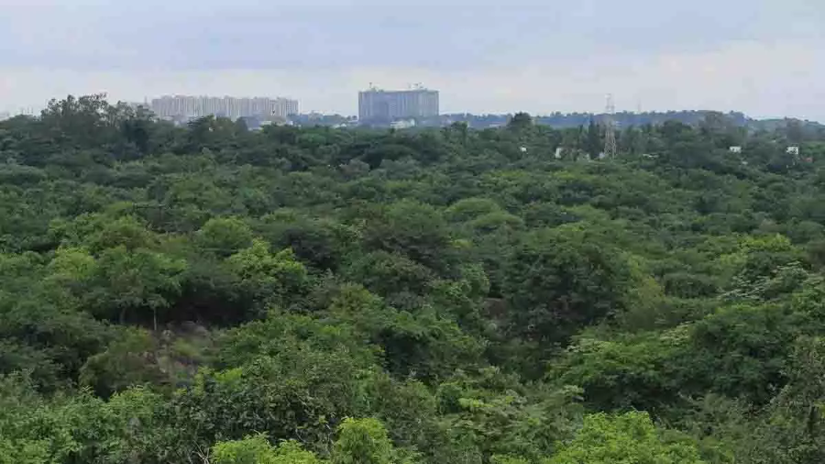 SC की केंद्रीय अधिकार प्राप्त समिति 10 अप्रैल को कांचा गाचीबोवली का दौरा करेगी SC की केंद्रीय अधिकार प्राप्त समिति 10 अप्रैल को कांचा गाचीबोवली का दौरा करेगी