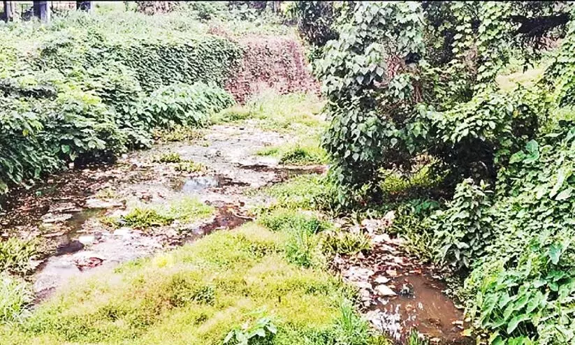 ‘कंजरीरापल्ली कचरा मुक्त है’; चित्तरपुझा अपशिष्ट वाहक के रूप में ‘कंजरीरापल्ली कचरा मुक्त है’; चित्तरपुझा अपशिष्ट वाहक के रूप में