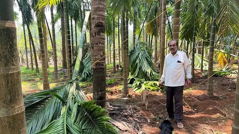 GOA: भारी बारिश और हवाओं से विचुंड्रेम, नेत्रावली में खेतों को भारी नुकसान GOA: भारी बारिश और हवाओं से विचुंड्रेम, नेत्रावली में खेतों को भारी नुकसान