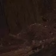 स्वदेशी समुदायों ने ग्लेंकोर की कॉपर खान की नाकेबंदी हटाई स्वदेशी समुदायों ने ग्लेंकोर की कॉपर खान की नाकेबंदी हटाई