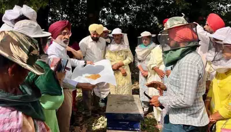 कृषि University में मधुमक्खी पालन पर सेमिनार का आयोजन कृषि University में मधुमक्खी पालन पर सेमिनार का आयोजन