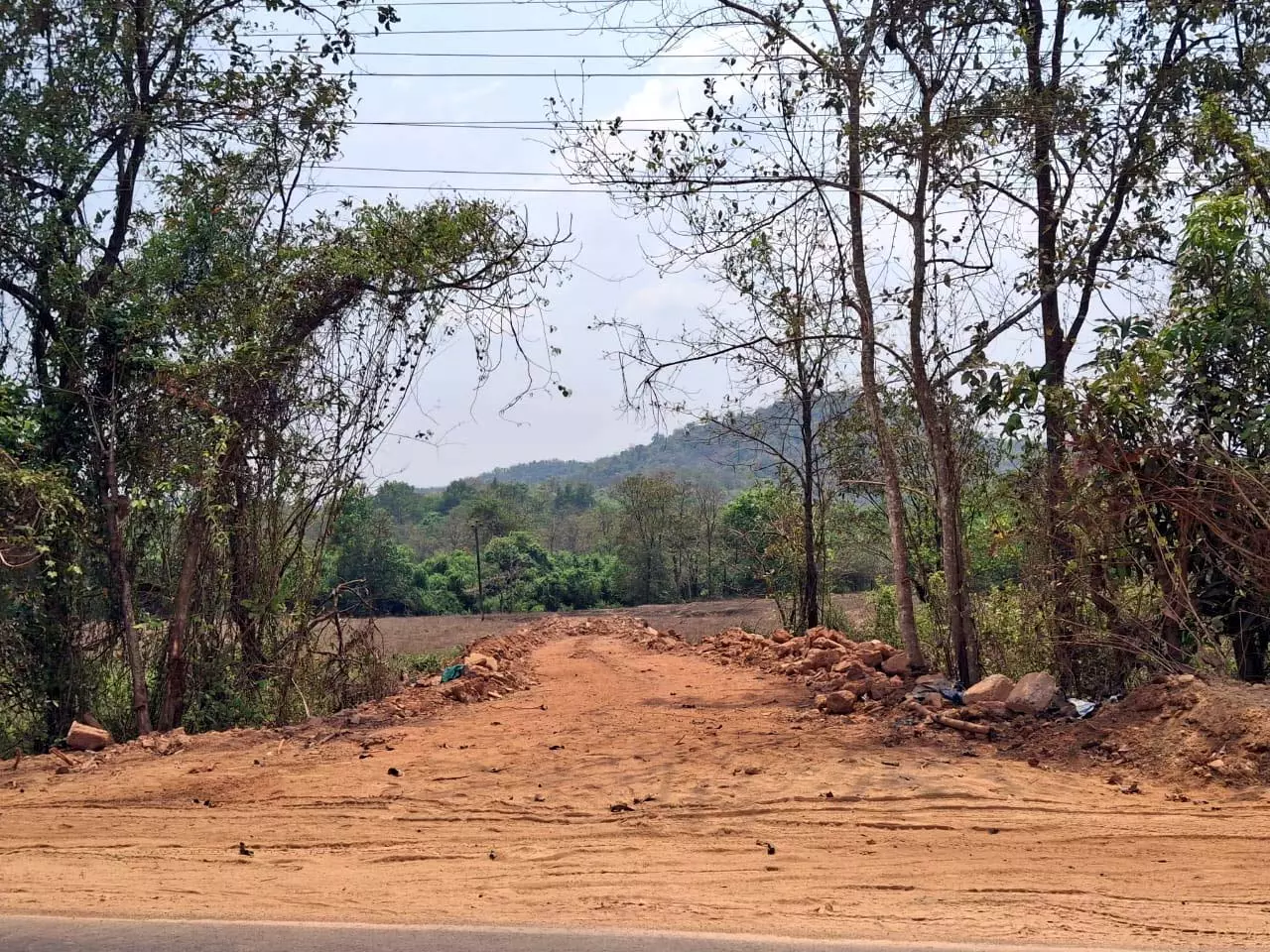 GOA: उगुम प्यात धान के खेत में सड़क निर्माण पर नोटिस जारी करेगा GOA: उगुम प्यात धान के खेत में सड़क निर्माण पर नोटिस जारी करेगा
