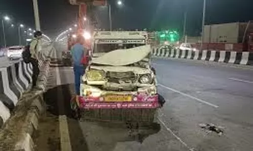 Haryana : पनीर से भरी पिकअप वैन ने भैंस को मारी टक्कर, मौत Haryana : पनीर से भरी पिकअप वैन ने भैंस को मारी टक्कर, मौत