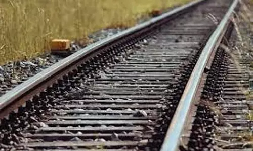 Tamil Nadu: रेलवे ट्रैक पार करने की कोशिश में 6 भैंसों की मौत Tamil Nadu: रेलवे ट्रैक पार करने की कोशिश में 6 भैंसों की मौत