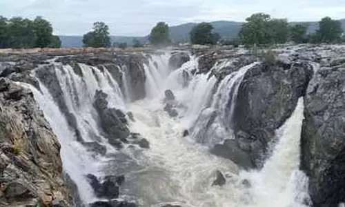 Tamil Nadu: ओकेनाक्कल में जल प्रवाह बढ़कर 5,000 क्यूबिक फीट हो गया