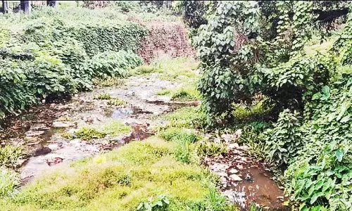 ‘कंजरीरापल्ली कचरा मुक्त है’; चित्तरपुझा अपशिष्ट वाहक के रूप में