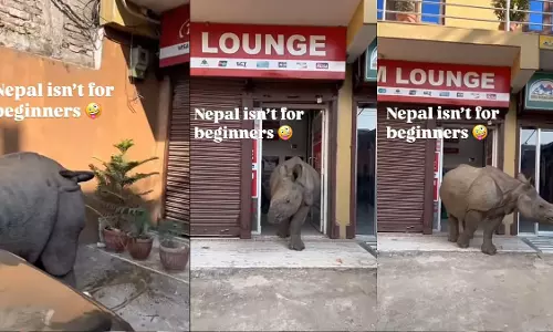 ATM पर दिखे दो गैंडे, एक अंदर और दूसरा बाहर, देखें VIDEO ATM पर दिखे दो गैंडे, एक अंदर और दूसरा बाहर, देखें VIDEO