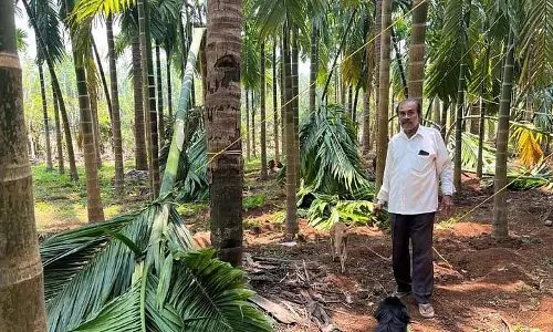 GOA: भारी बारिश और हवाओं से विचुंड्रेम, नेत्रावली में खेतों को भारी नुकसान GOA: भारी बारिश और हवाओं से विचुंड्रेम, नेत्रावली में खेतों को भारी नुकसान