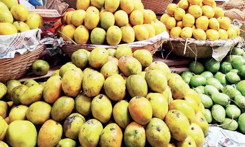 बेमौसम बारिश से Margao में आम की कमी, कीमतें बढ़ीं