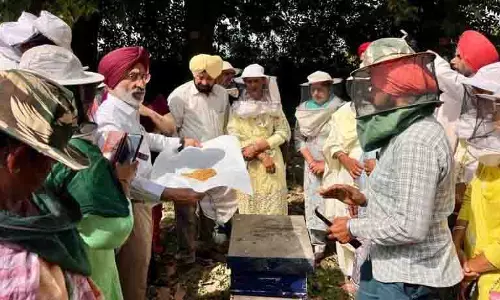 कृषि University में मधुमक्खी पालन पर सेमिनार का आयोजन कृषि University में मधुमक्खी पालन पर सेमिनार का आयोजन