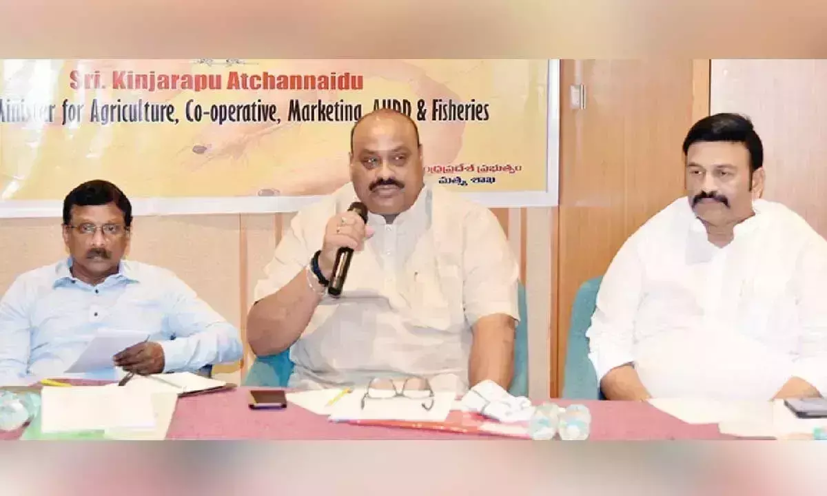 Andhra: अचन्ना ने जल-कृषकों की सुरक्षा के लिए कदम उठाने का आश्वासन दिया Andhra: अचन्ना ने जल-कृषकों की सुरक्षा के लिए कदम उठाने का आश्वासन दिया