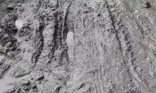केंद्र ने Larji-Banjar road पर किए गए तारकोल कार्य का ब्यौरा मांगा केंद्र ने Larji-Banjar road पर किए गए तारकोल कार्य का ब्यौरा मांगा