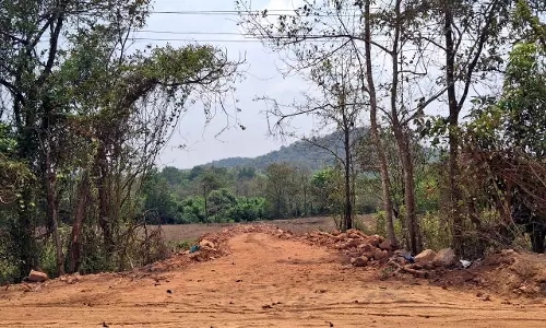 GOA: उगुम प्यात धान के खेत में सड़क निर्माण पर नोटिस जारी करेगा GOA: उगुम प्यात धान के खेत में सड़क निर्माण पर नोटिस जारी करेगा