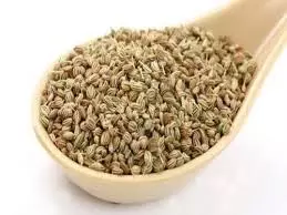 Health: औषधीय गुणों से भरपूर है अजवाइन, जानिए सेवन करने से क्या होता है Health: औषधीय गुणों से भरपूर है अजवाइन, जानिए सेवन करने से क्या होता है