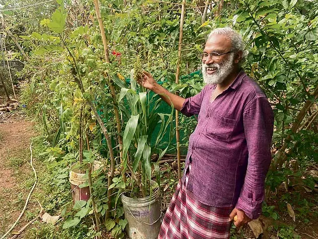Kerala: कोच्चि में 10 से 12 अप्रैल तक बाजरा प्रदर्शनी का आयोजन Kerala: कोच्चि में 10 से 12 अप्रैल तक बाजरा प्रदर्शनी का आयोजन