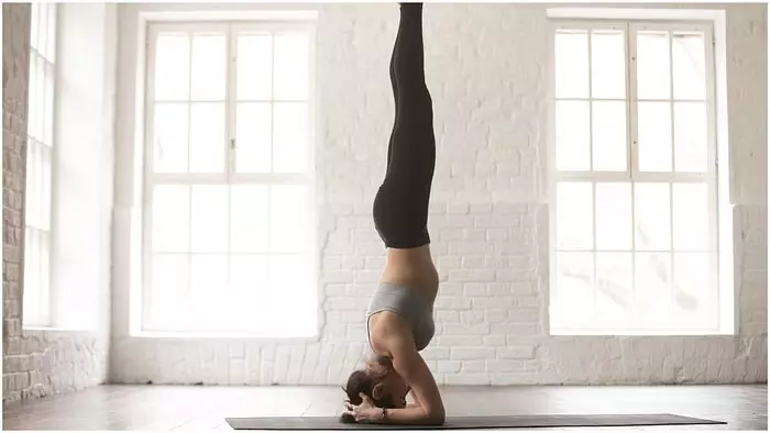 Yoga Tips: बुढ़ापे में भी दिखना है जवान तो आजमाएं ये दो योगासन, आएंगे बेहद काम Yoga Tips: बुढ़ापे में भी दिखना है जवान तो आजमाएं ये दो योगासन, आएंगे बेहद काम