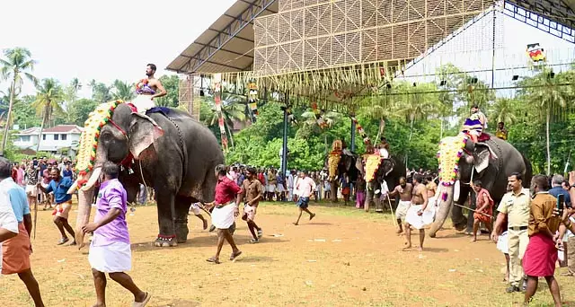 Thrissur में सदियों पुरानी रस्म के तहत जंबो रेस का आयोजन Thrissur में सदियों पुरानी रस्म के तहत जंबो रेस का आयोजन