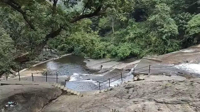 Tamil Nadu: आज पर्यटकों को कोयम्बटूर कोर्टालम जाने की अनुमति नही Tamil Nadu: आज पर्यटकों को कोयम्बटूर कोर्टालम जाने की अनुमति नही