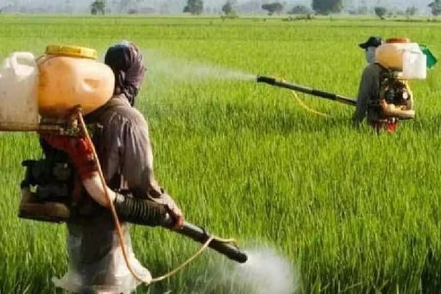 उर्वरक संयंत्र के लिए Panagarh में सरकारी जमीन, एग्री सोर्स इंडिया स्थापित करेगी उत्पादन इकाई उर्वरक संयंत्र के लिए Panagarh में सरकारी जमीन, एग्री सोर्स इंडिया स्थापित करेगी उत्पादन इकाई