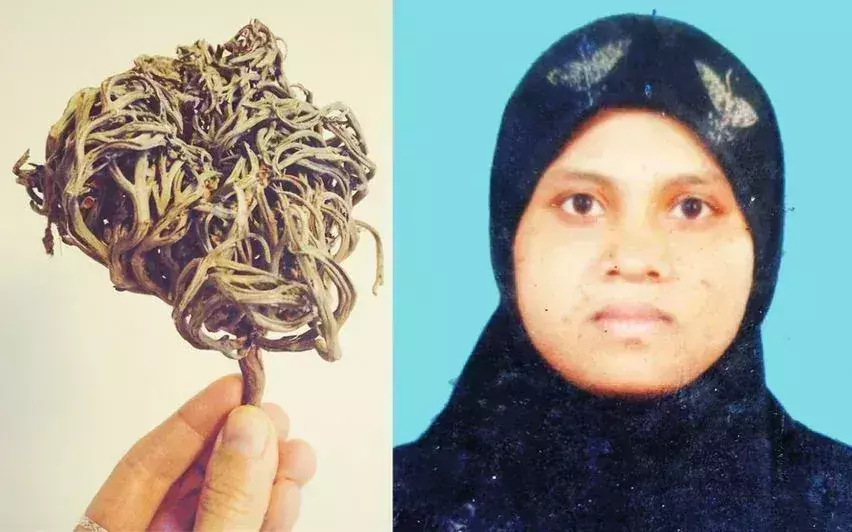 रोज ऑफ जेरिको का मिथक कैसे अंधविश्वास Kerala में असुरक्षित घरेलू प्रसव को बढ़ावा दे रहा रोज ऑफ जेरिको का मिथक कैसे अंधविश्वास Kerala में असुरक्षित घरेलू प्रसव को बढ़ावा दे रहा