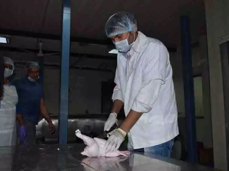 Punjab: खेत से लेकर खाने तक सुरक्षित मांस उपभोग सुनिश्चित करना Punjab: खेत से लेकर खाने तक सुरक्षित मांस उपभोग सुनिश्चित करना