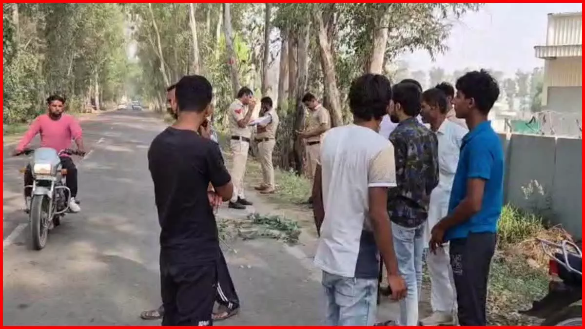टीचर का कत्ल करने के बाद वीडियो किया पोस्ट, अपराधियों के भीतर पुलिस और कानून का नहीं रहा कोई खौफ टीचर का कत्ल करने के बाद वीडियो किया पोस्ट, अपराधियों के भीतर पुलिस और कानून का नहीं रहा कोई खौफ