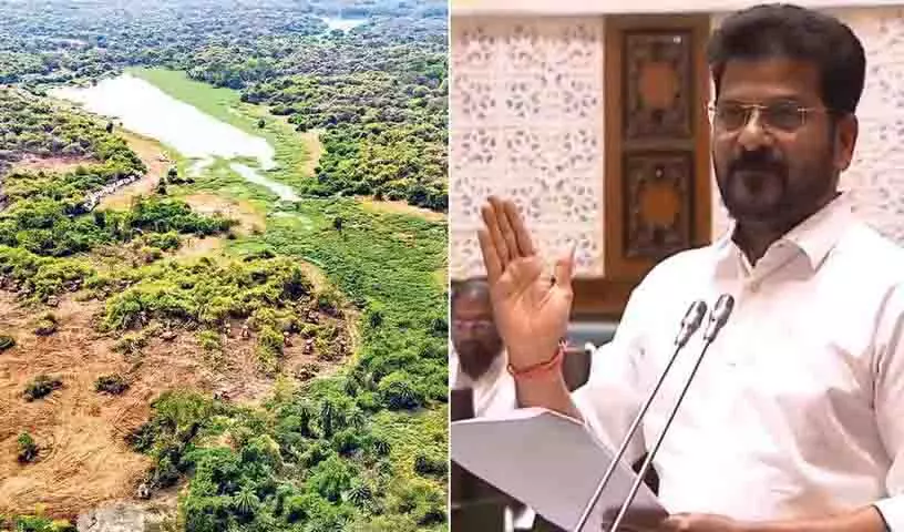 कांग्रेस सरकार द्वारा निजी खिलाड़ियों को बढ़ावा देने से कांचा Gachibowli भूमि विवाद में गंभीर संदेह पैदा कांग्रेस सरकार द्वारा निजी खिलाड़ियों को बढ़ावा देने से कांचा Gachibowli भूमि विवाद में गंभीर संदेह पैदा