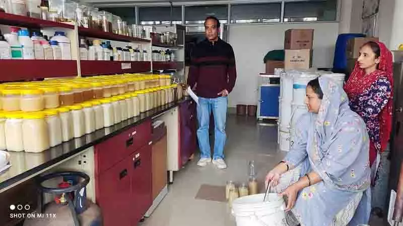Neri College दुर्लभ सफेद शहद का उत्पादन करते, रियायती दर पर उपलब्ध कराता Neri College दुर्लभ सफेद शहद का उत्पादन करते, रियायती दर पर उपलब्ध कराता