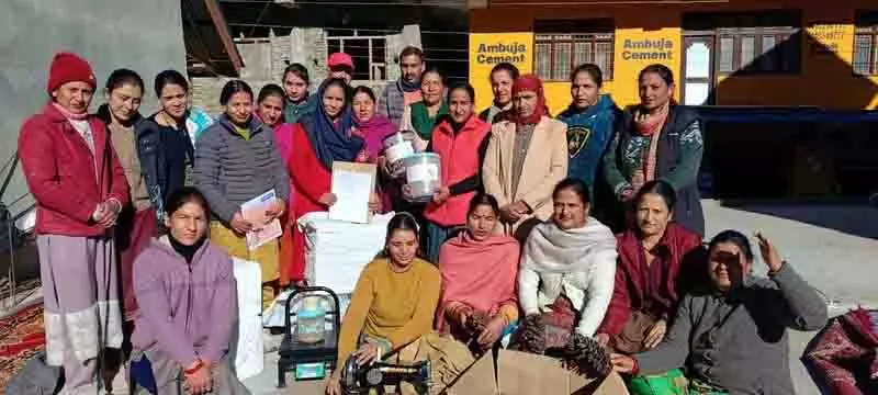 Pangi की महिलाएं वन संपदा से सफलता अर्जित कर रही Pangi की महिलाएं वन संपदा से सफलता अर्जित कर रही
