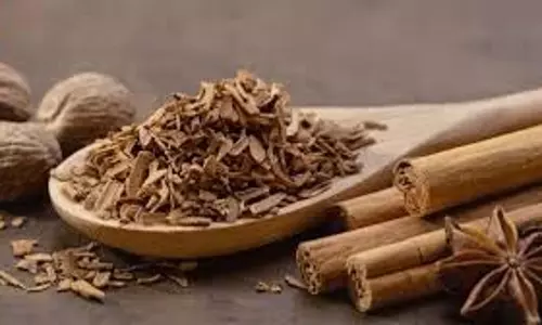 Health: जानिए दालचीनी और सौंफ का पानी सेहत के लिए कितना फायदेमंद है Health: जानिए दालचीनी और सौंफ का पानी सेहत के लिए कितना फायदेमंद है