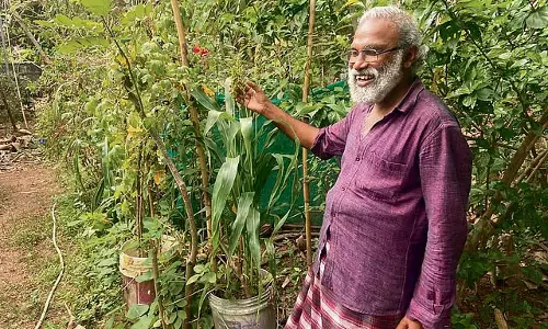Kerala: कोच्चि में 10 से 12 अप्रैल तक बाजरा प्रदर्शनी का आयोजन Kerala: कोच्चि में 10 से 12 अप्रैल तक बाजरा प्रदर्शनी का आयोजन