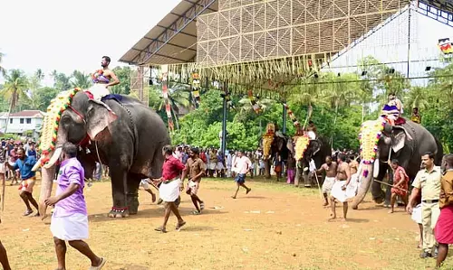 Thrissur में सदियों पुरानी रस्म के तहत जंबो रेस का आयोजन