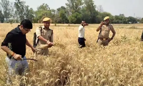 DM का वीडियो, जानें अफसर की क्यों हो रही तारीफ