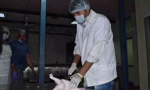Punjab: खेत से लेकर खाने तक सुरक्षित मांस उपभोग सुनिश्चित करना Punjab: खेत से लेकर खाने तक सुरक्षित मांस उपभोग सुनिश्चित करना