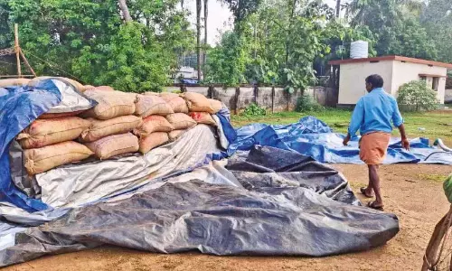 Kerala: आंधी और बारिश से किसान परेशान