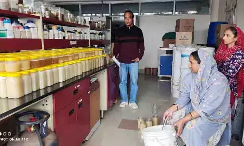 Neri College दुर्लभ सफेद शहद का उत्पादन करते, रियायती दर पर उपलब्ध कराता